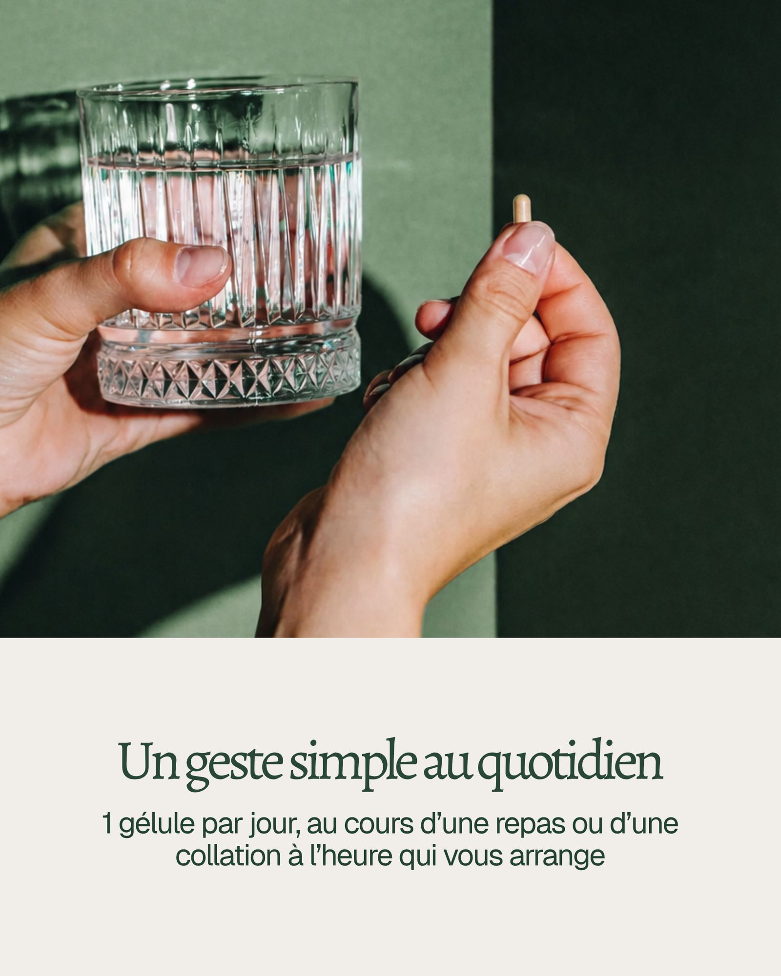 Essentiel végétal